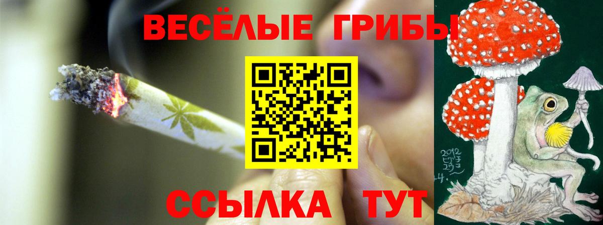 Псилоцибиновые грибы Psilocybine cubensis  Галлюциногенные грибы Psilocybe  Вход с VPN  Боровичи 