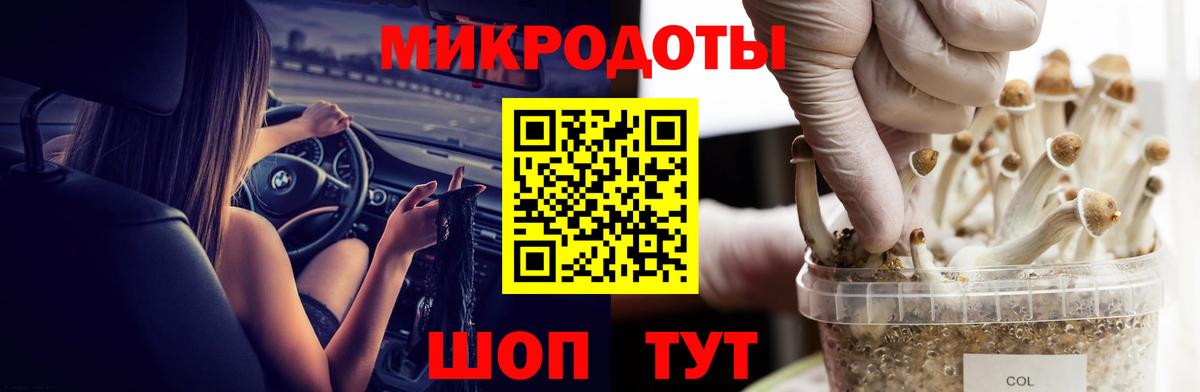Псилоцибиновые грибы Psilocybe Боровичи